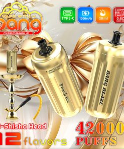 Bang E-Shisha Head 42000