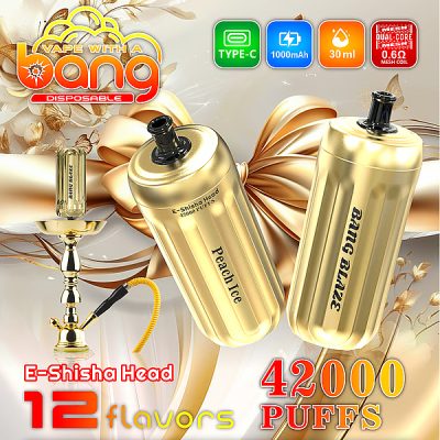 Bang E-Shisha Head 42000