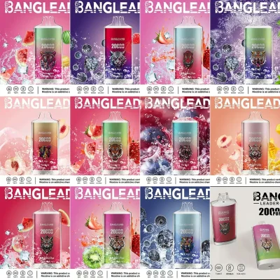 Leader Bang 20K