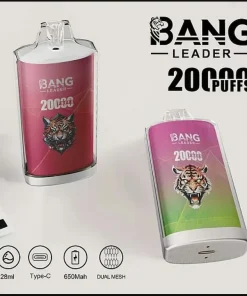 Leader Bang 20K